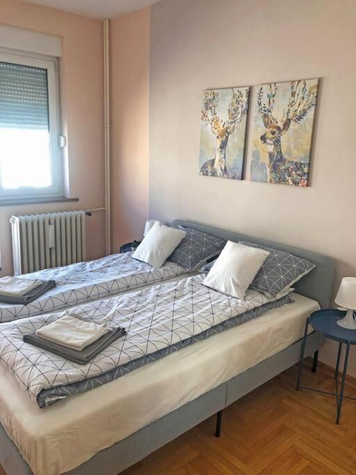 Quince Apartment-Free Parking-City Center Belgrád Kültér fotó